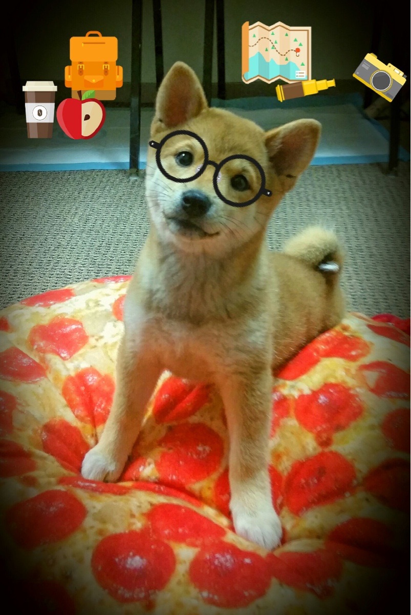 钢铁防线与攻城炮，深圳火力压制山西，贝恩诠释硬仗之王