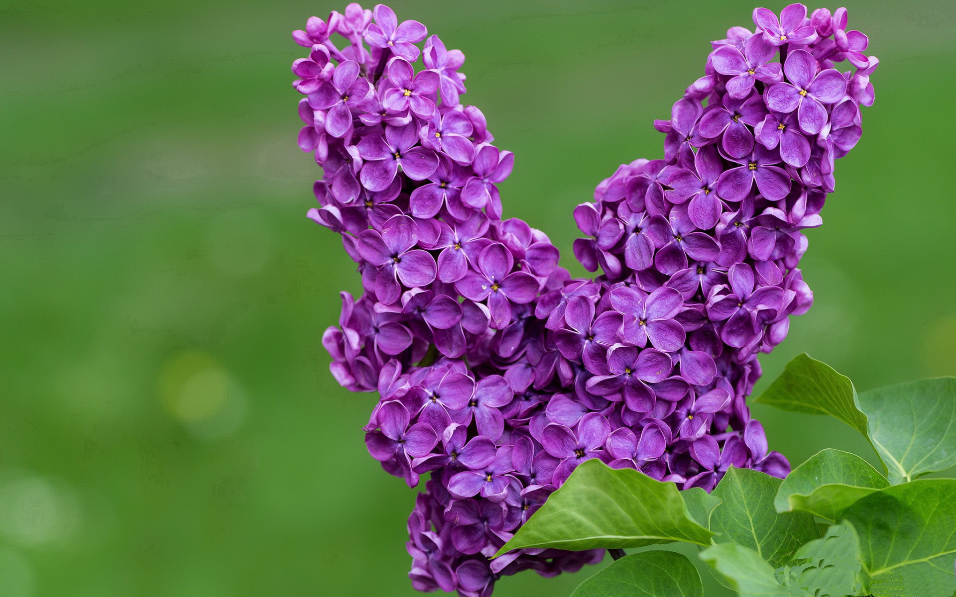 当航天城的引擎熄灭,哈登火焰独舞,迈阿密热浪宣告秩序的唯一性