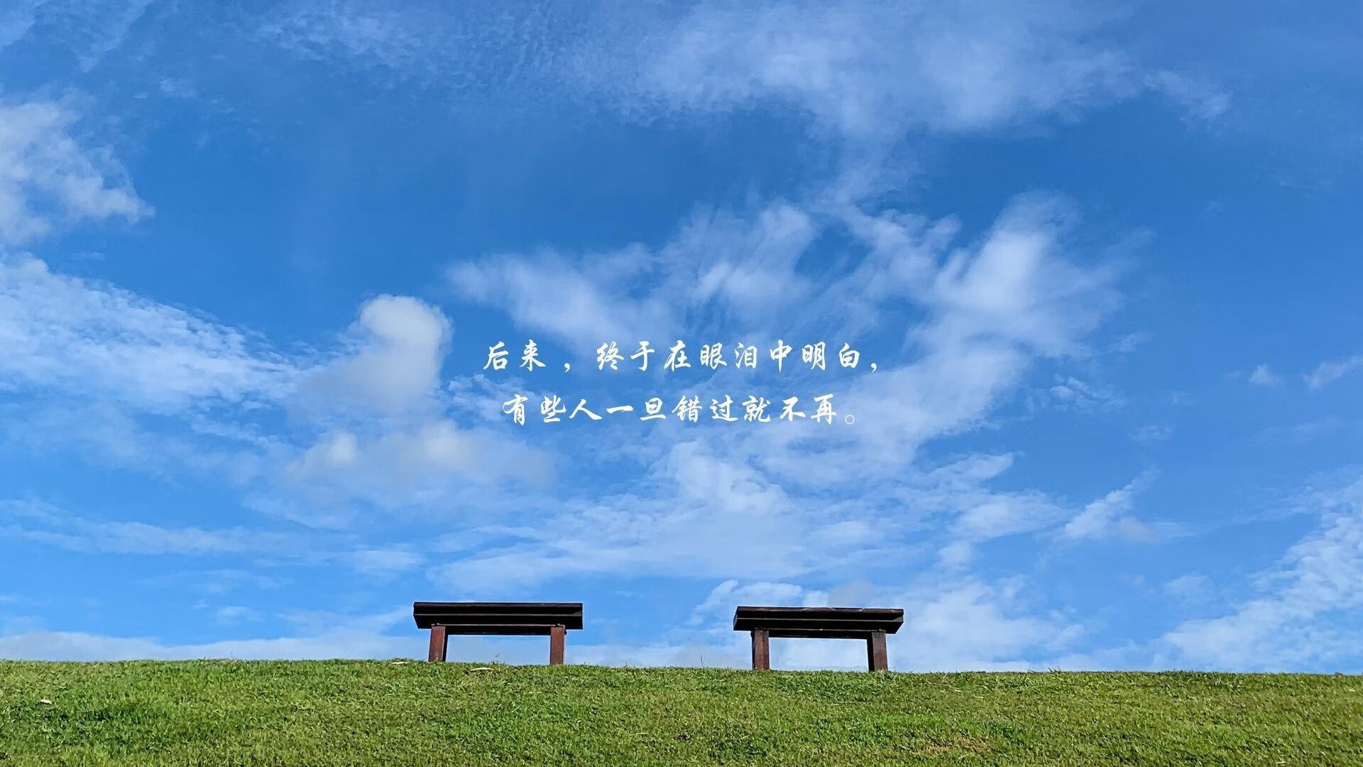 绝杀时刻,当阿根廷的荣耀与三笘薰的光芒交织在世界杯争冠战的命运十字路口